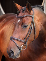 Träns Lusso Elite Brun