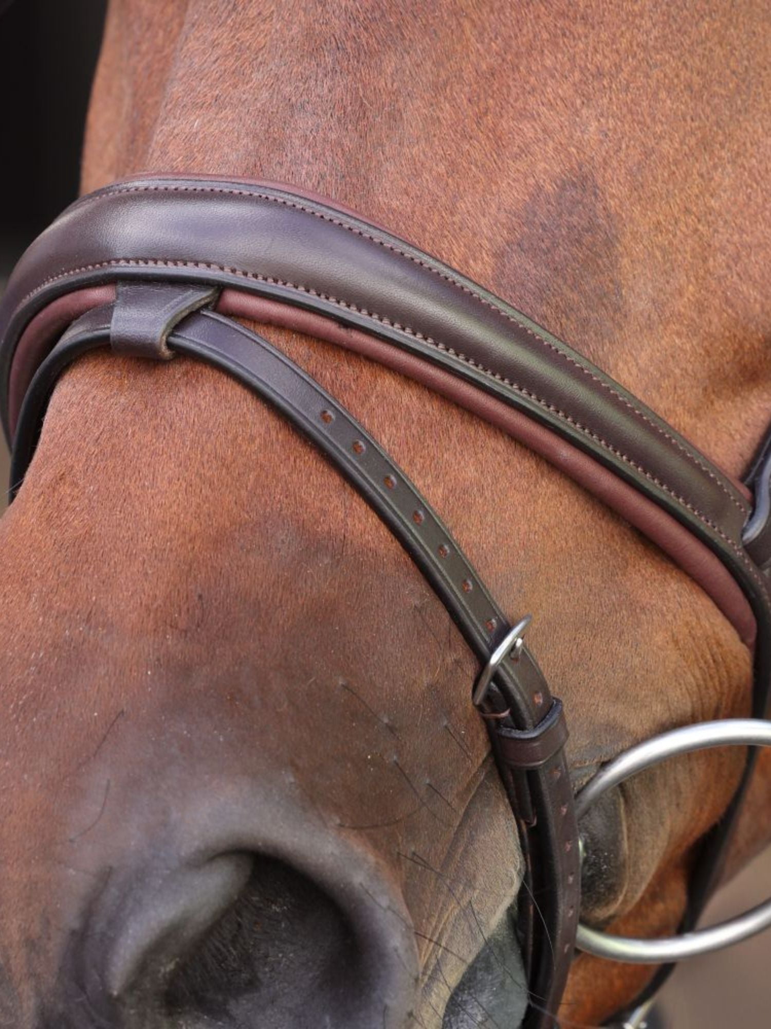 Träns Lusso Elite Brun