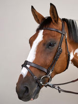 Träns Slät Nosgrimma Working Collection Brun