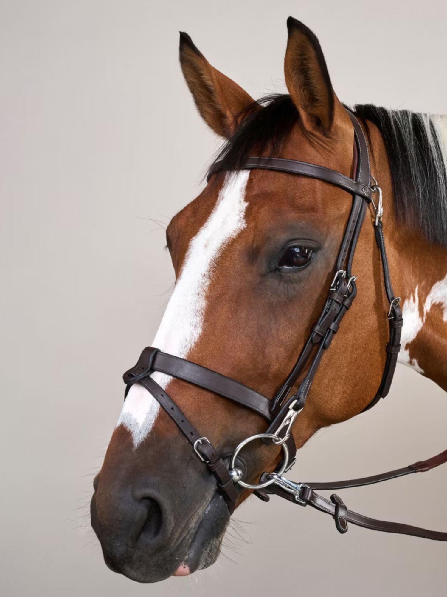 Träns Slät Nosgrimma Working Collection Brun