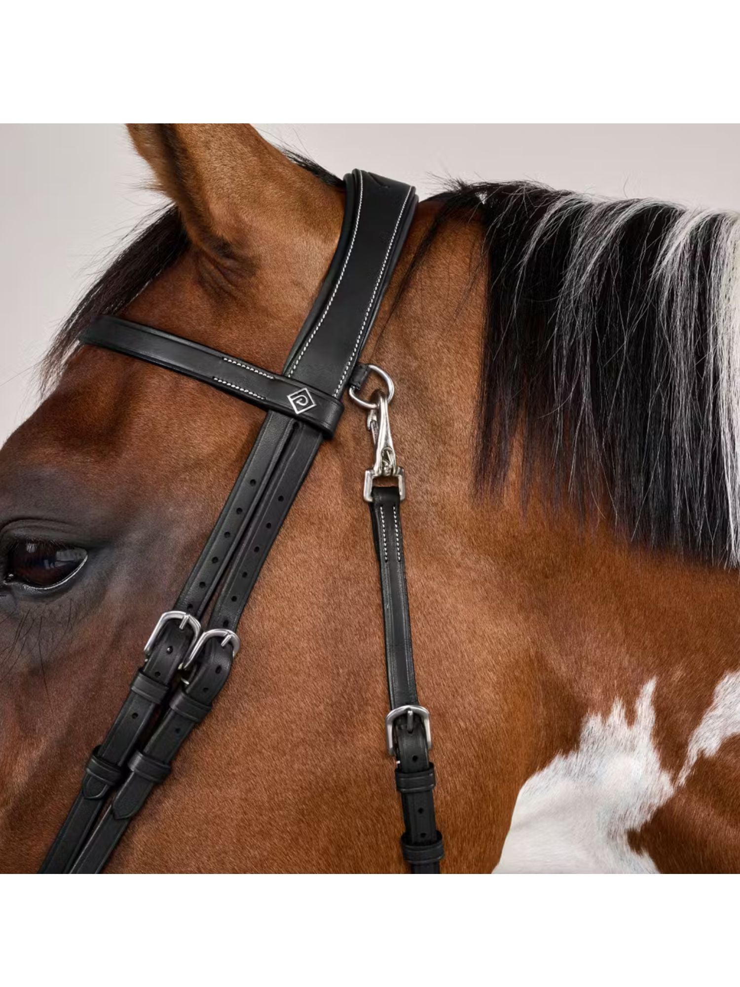 Träns Slät Nosgrimma Working Collection Svart