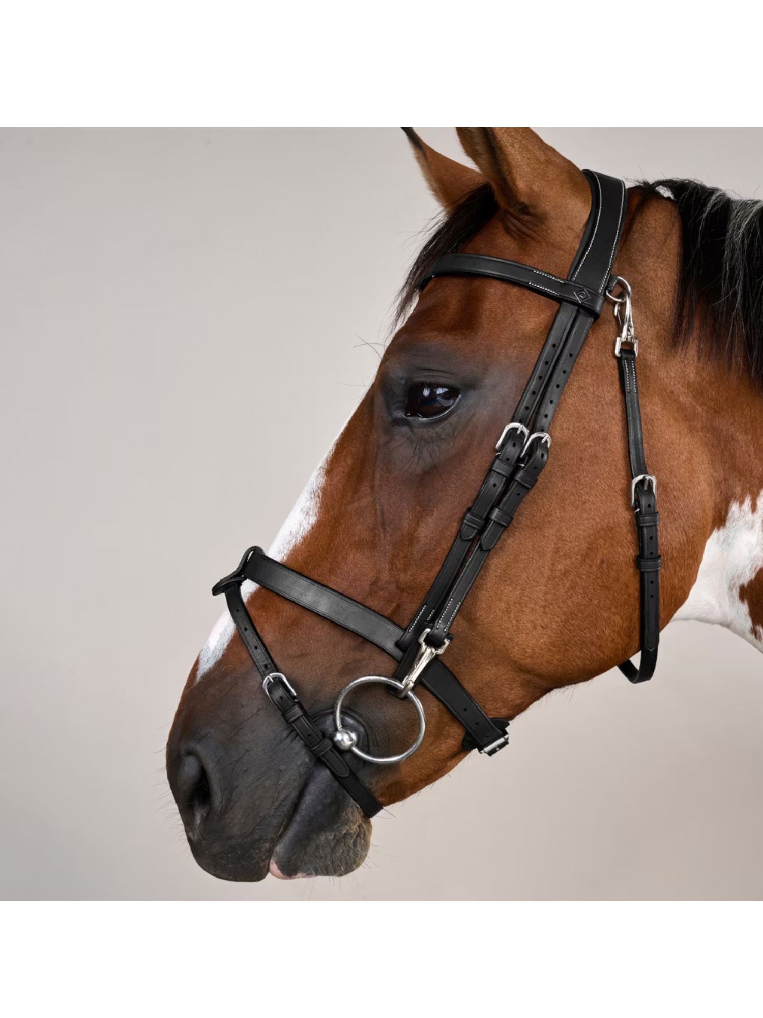 Träns Slät Nosgrimma Working Collection Svart