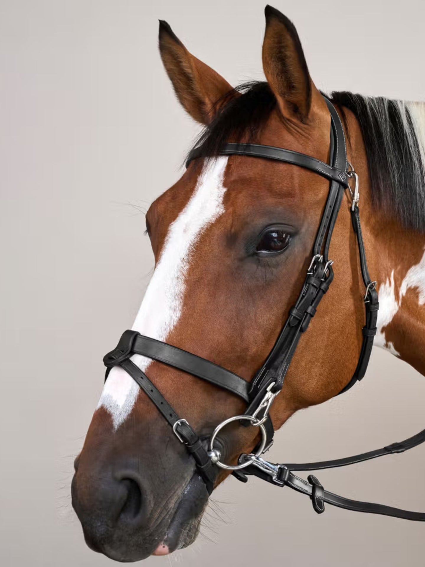 Träns Slät Nosgrimma Working Collection Svart