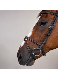 Träns Flash Söm Working Collection Brun