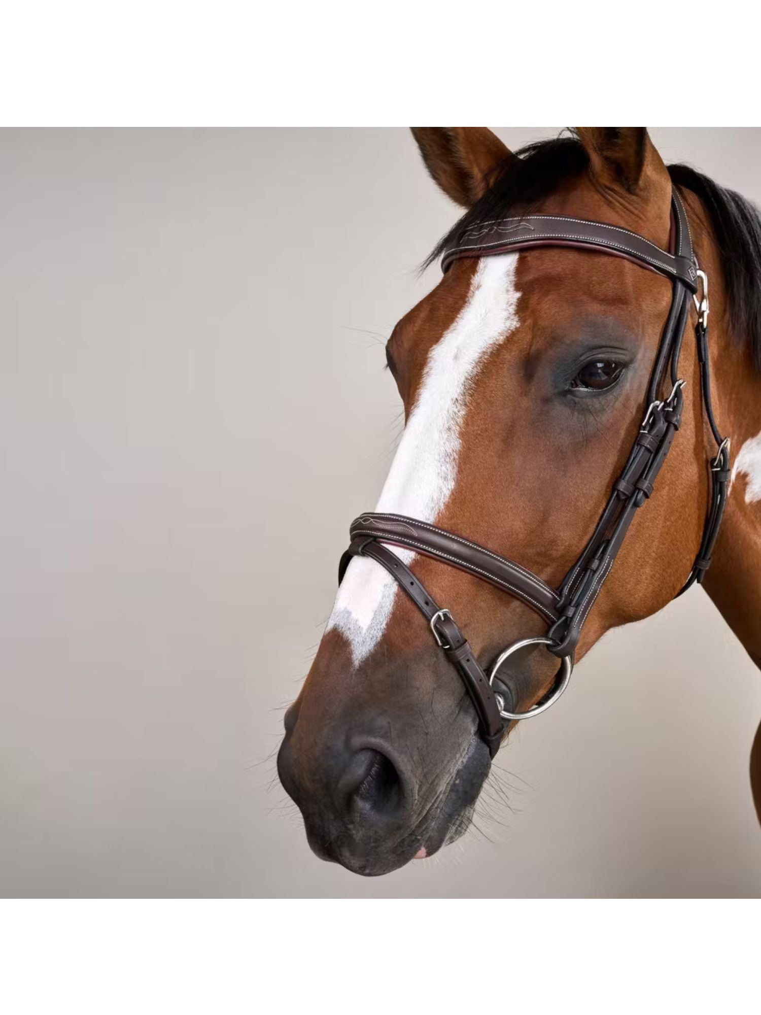 Träns Flash Söm Working Collection Brun