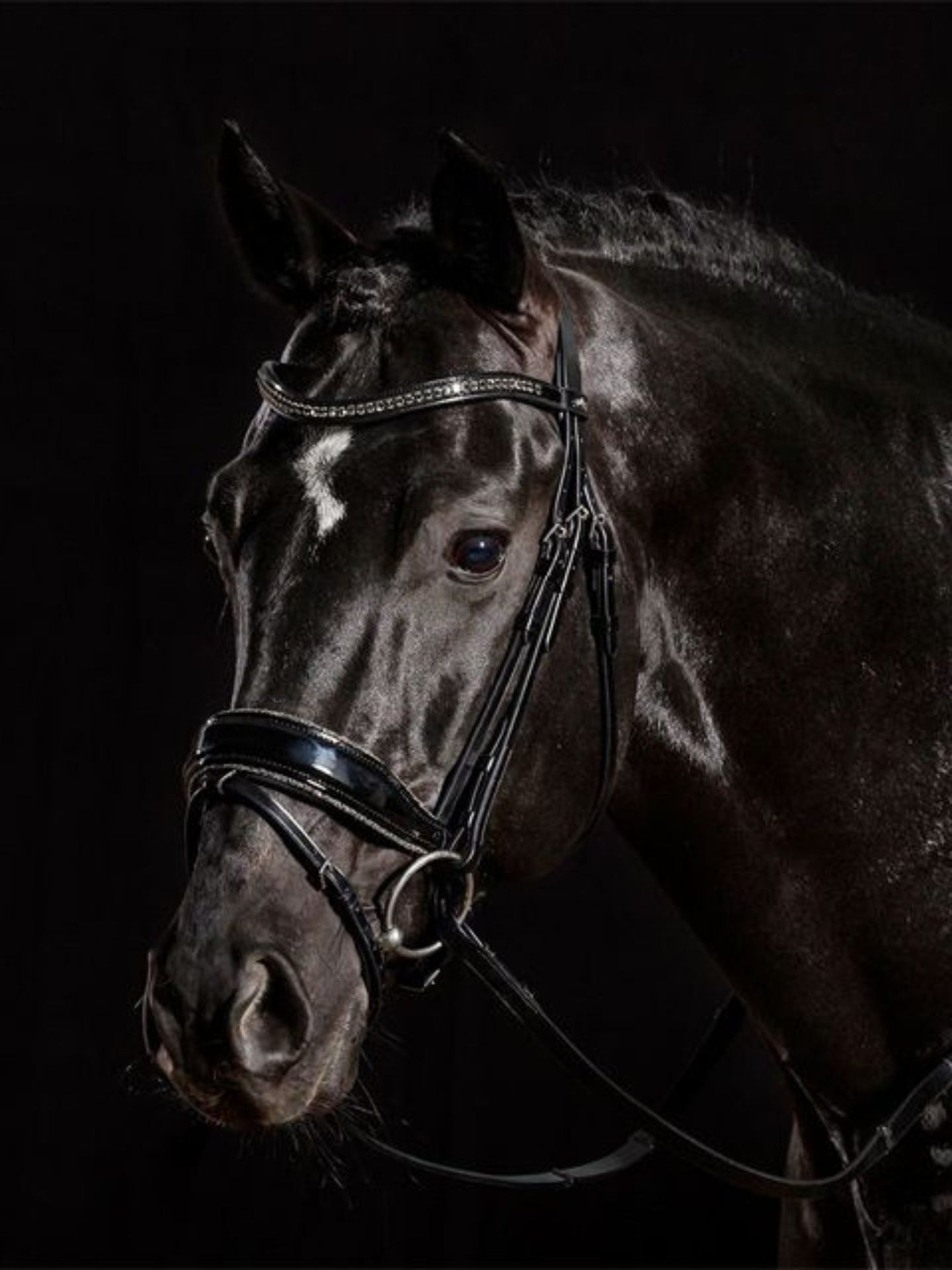 Träns Stanford Glam Svart