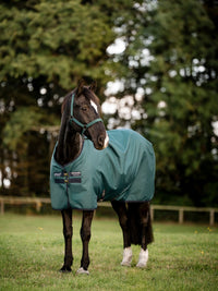 Utetäcke Amigo Ripstop 900D Pony 50g Turnout Dynasty Green/Navy & Silver