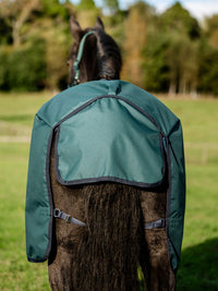 Utetäcke Amigo Ripstop 900D Pony 50g Turnout Dynasty Green/Navy & Silver