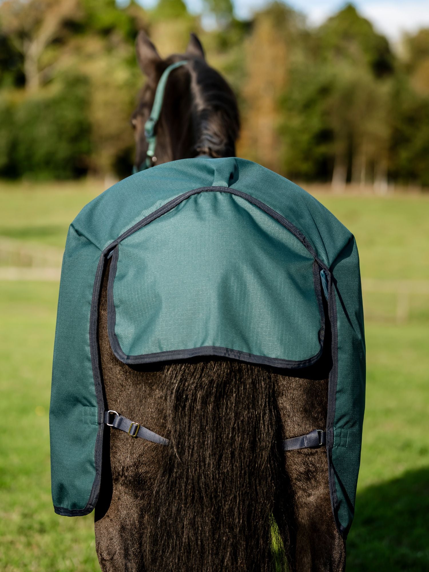 Utetäcke Amigo Ripstop 900D Pony 50g Turnout Dynasty Green/Navy & Silver