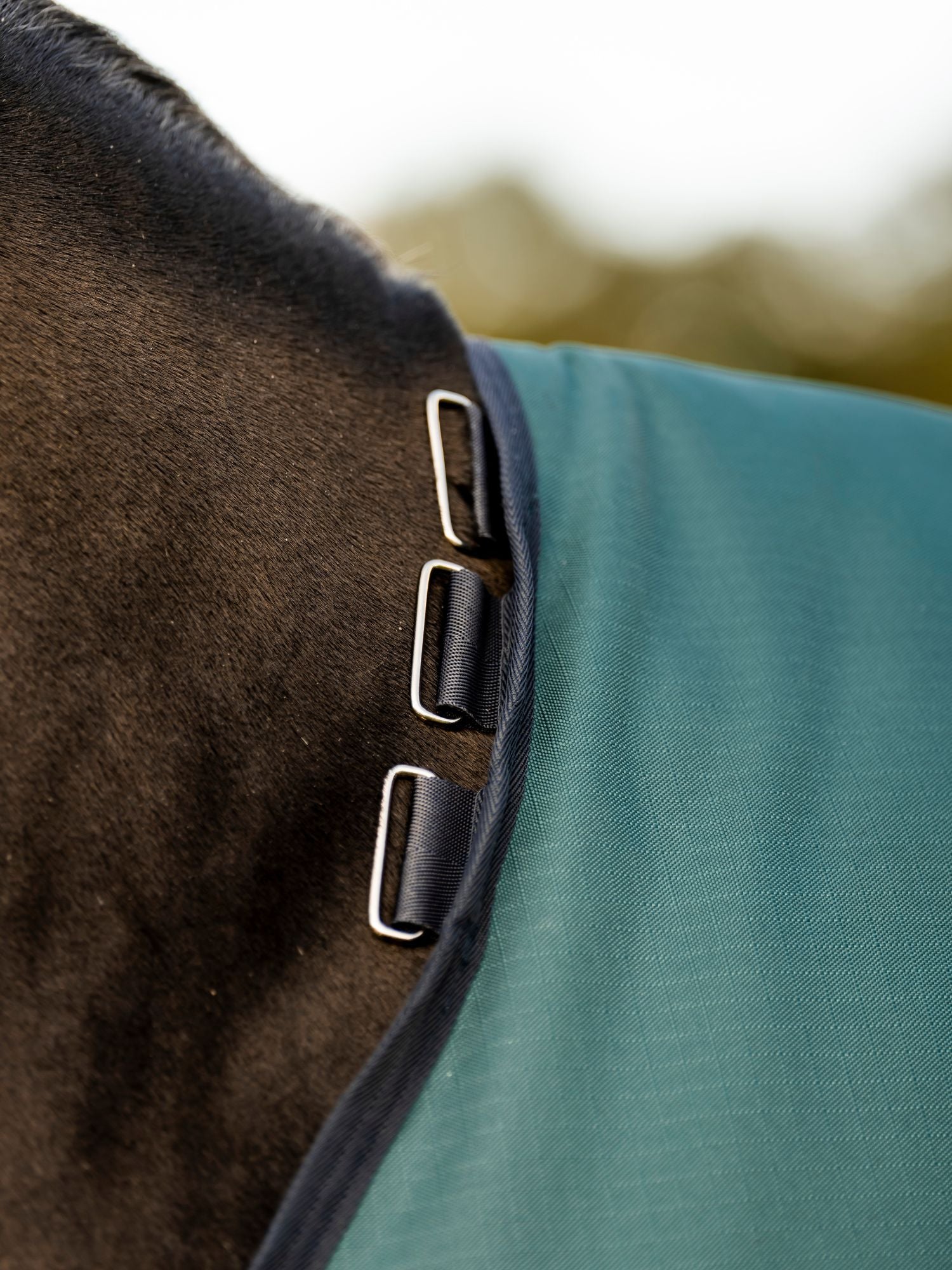 Utetäcke Amigo Ripstop 900D Pony 50g Turnout Dynasty Green/Navy & Silver