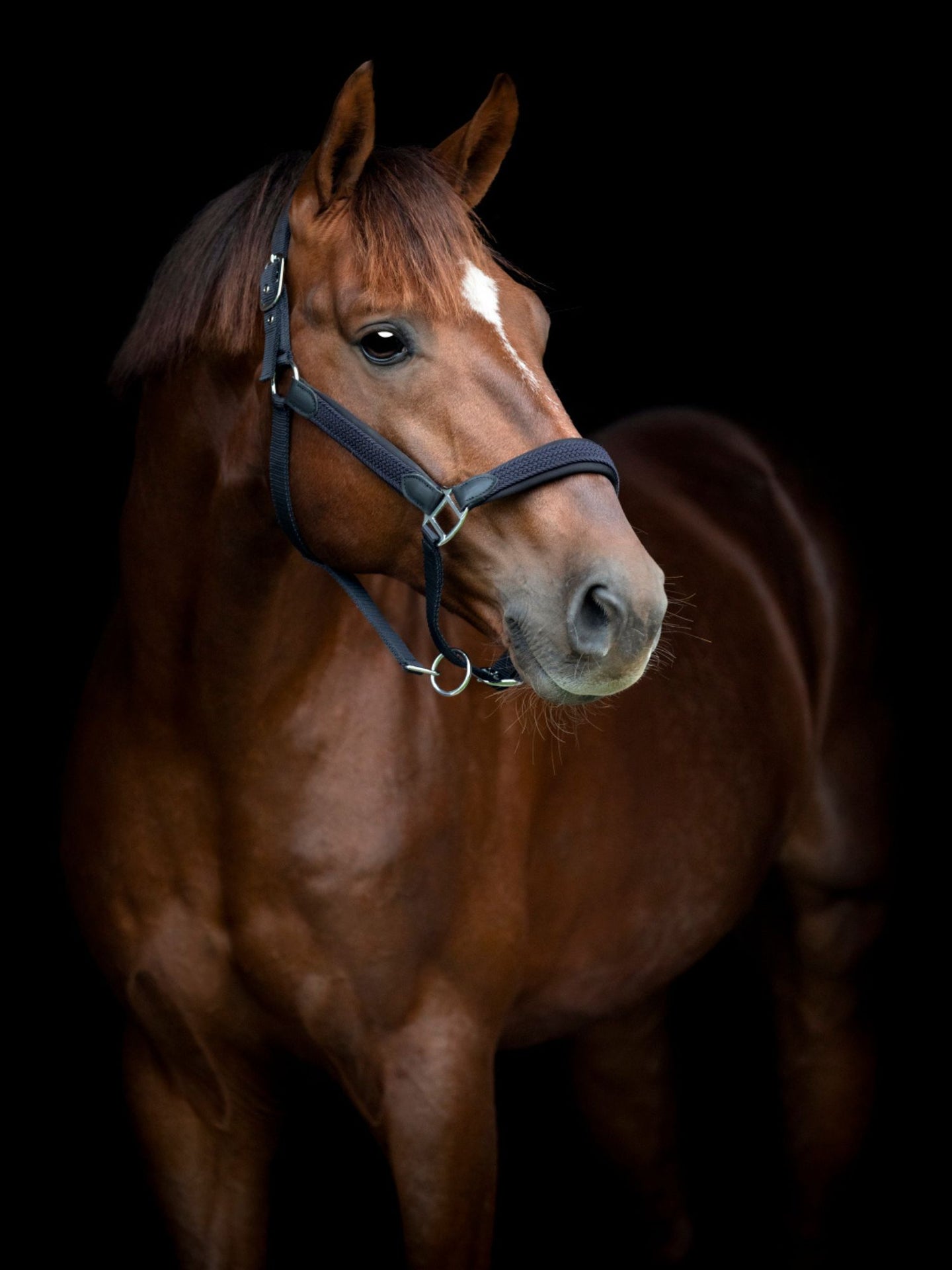 Grimma Flätad Vardia Navy
