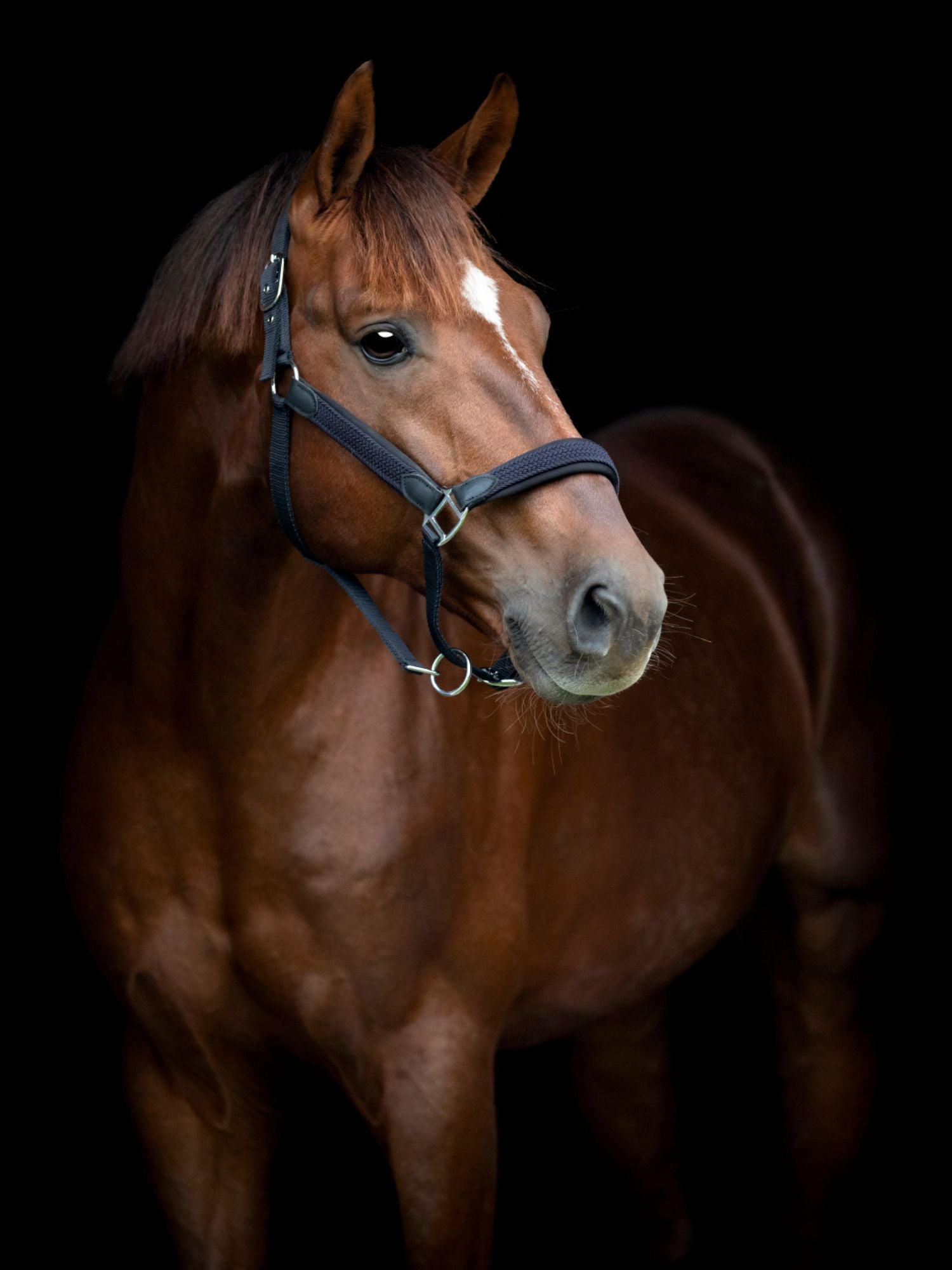 Grimma Flätad Vardia Navy