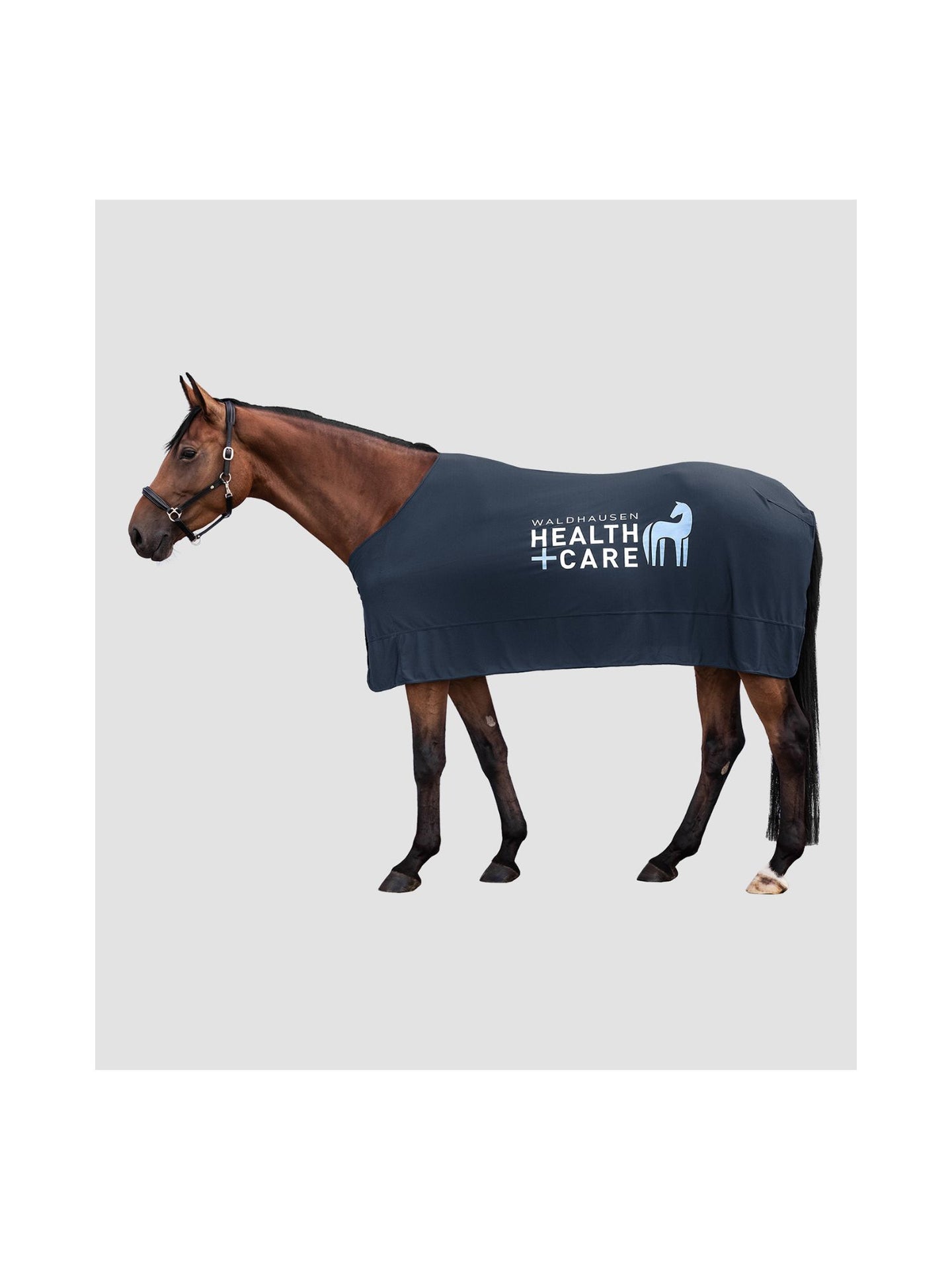 W-Health + Care Ice Layer Rug Nightblue