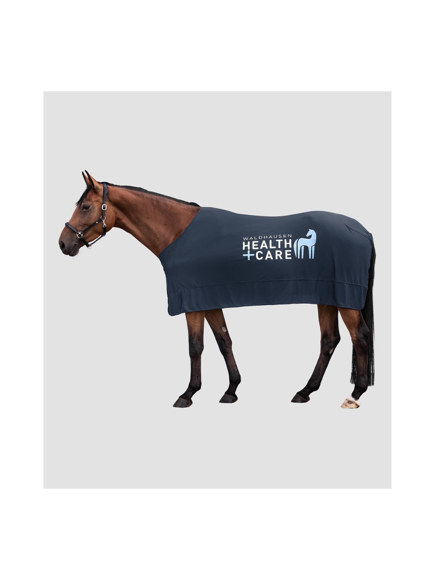 W-Health + Care Ice Layer Rug Nightblue