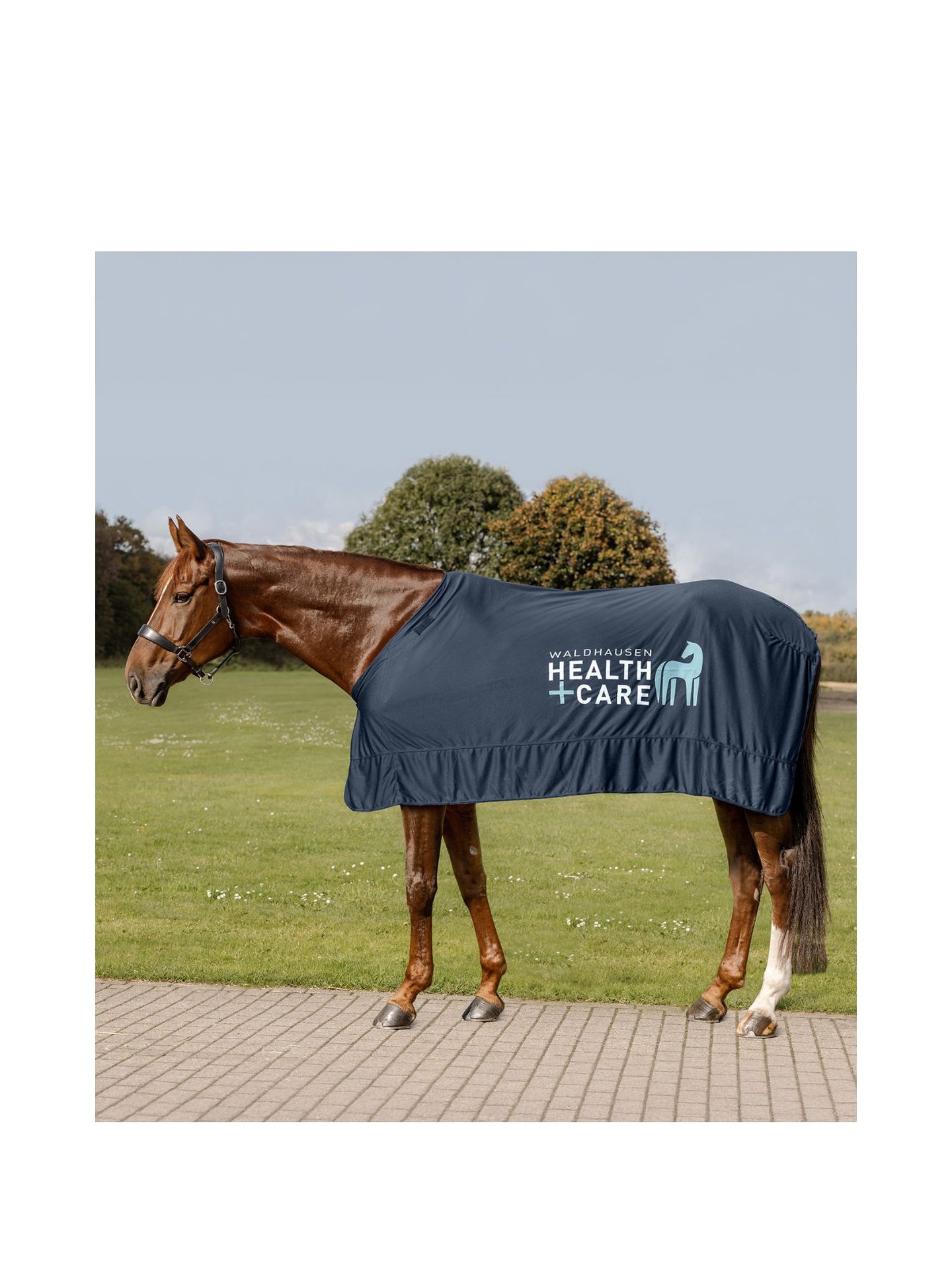 W-Health + Care Ice Layer Rug Nightblue