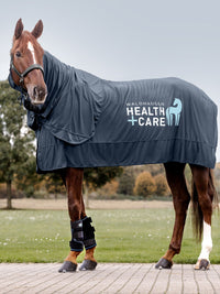 W-Health + Care Ice Layer Rug Nightblue