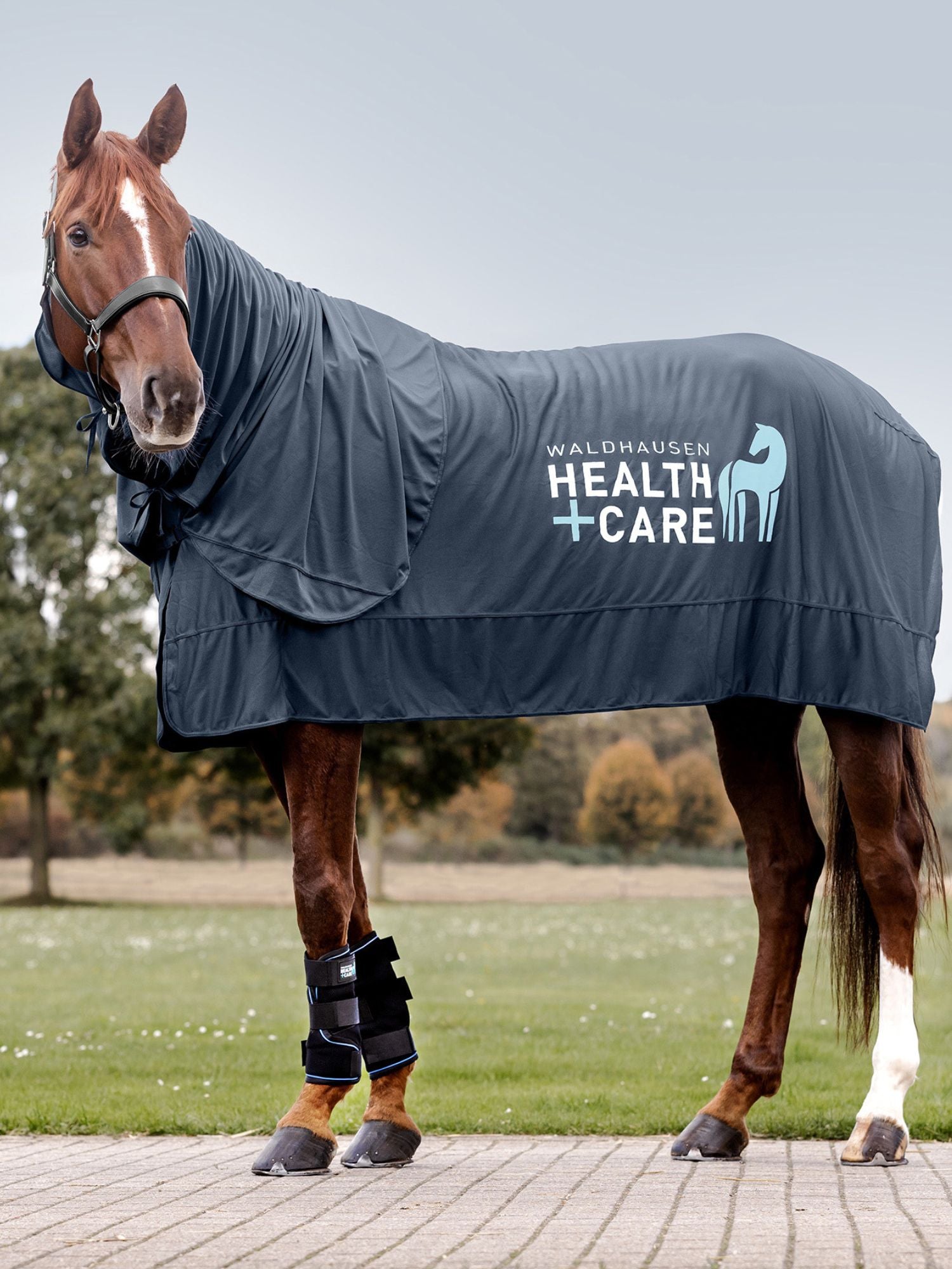 W-Health + Care Ice Layer Rug Nightblue