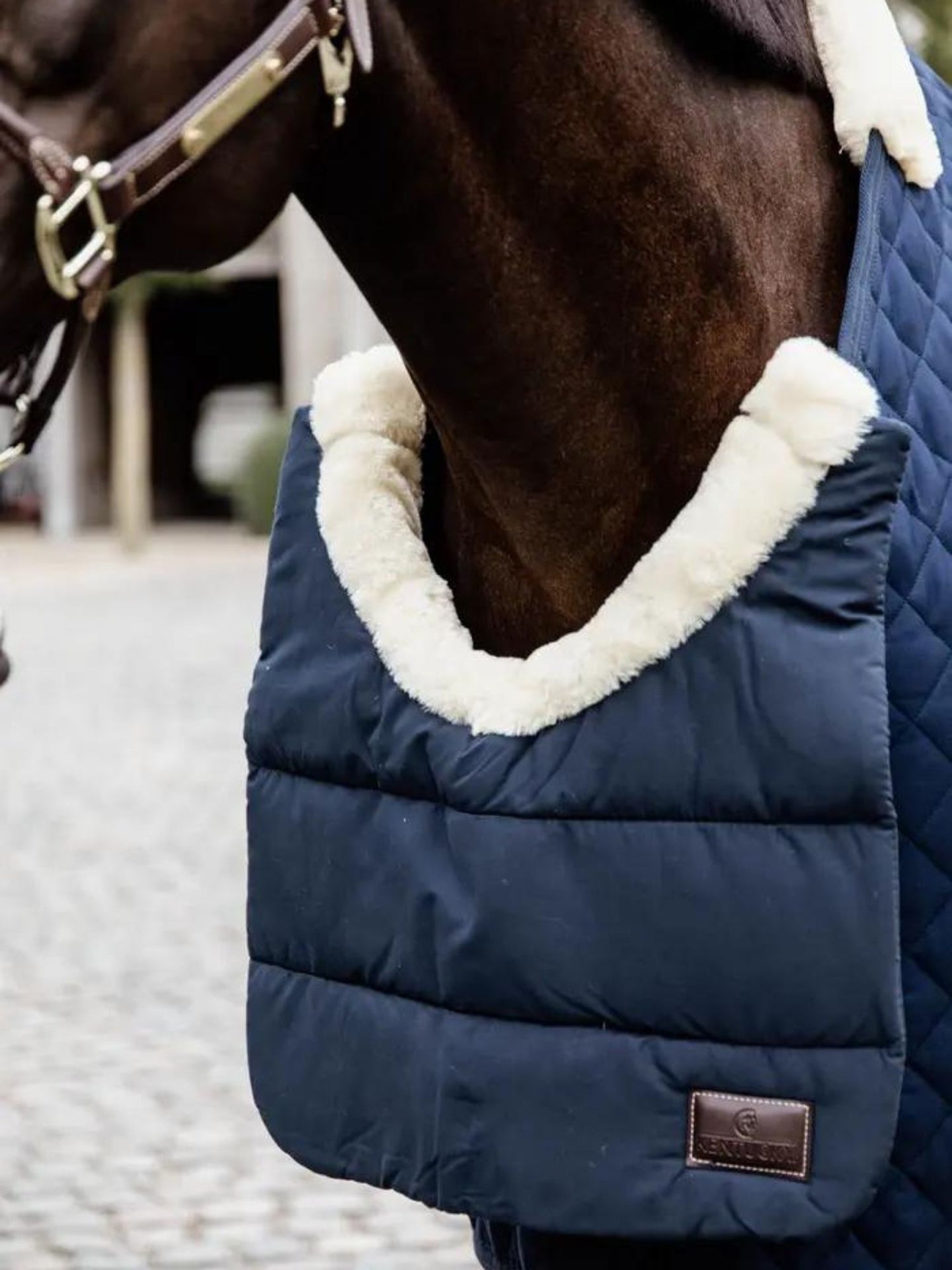 Horse Bib Winter Navy