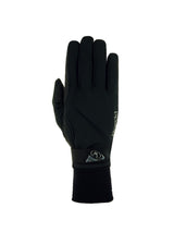 Wismar Fodrad Handske Svart