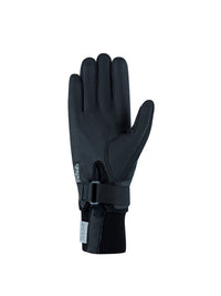 Wismar Fodrad Handske Svart