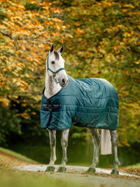 Stalltäcke Amigo Ripstop Insulator Stable 50g Dynasty Green