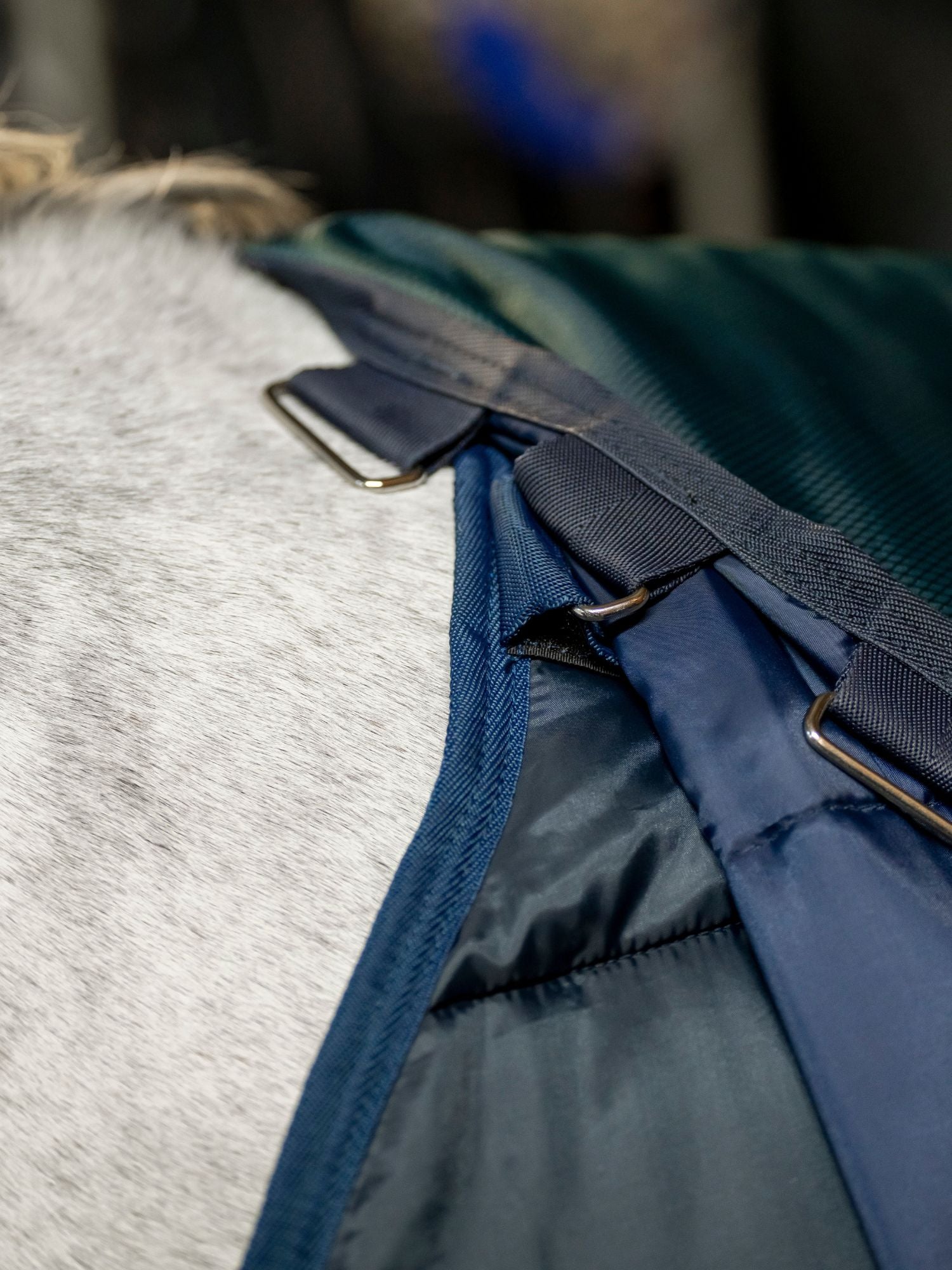 Stalltäcke Amigo Ripstop Insulator Stable 50g Dynasty Green