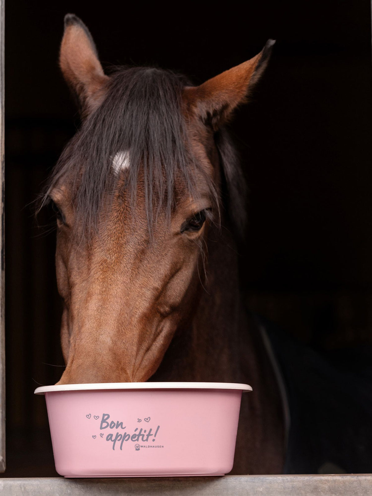 Foderskål Med Lock "Bon Appétit" Linnea Pink