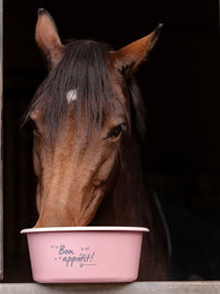Foderskål Med Lock "Bon Appétit" Linnea Pink