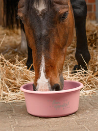 Foderskål Med Lock "Bon Appétit" Linnea Pink
