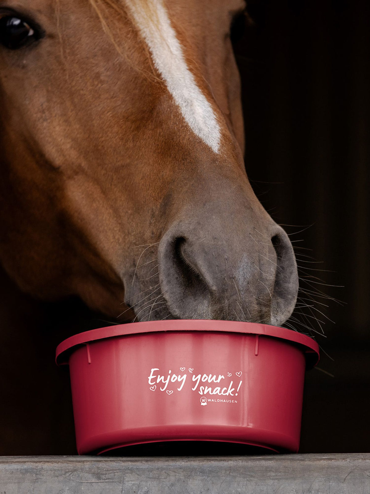 Foderskål Med Lock "Enjoy Your Snack" Cherry Red