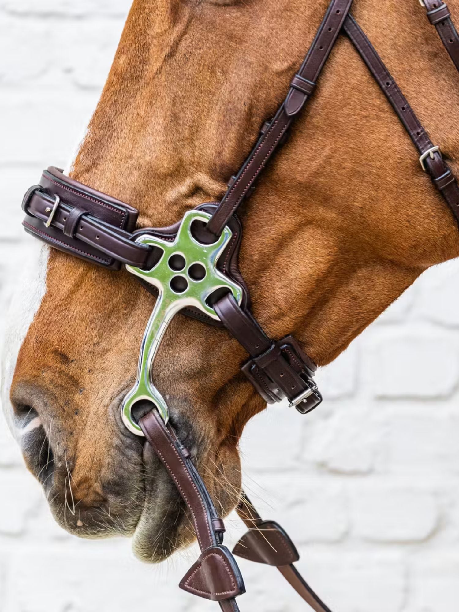Hackamore New English Brun