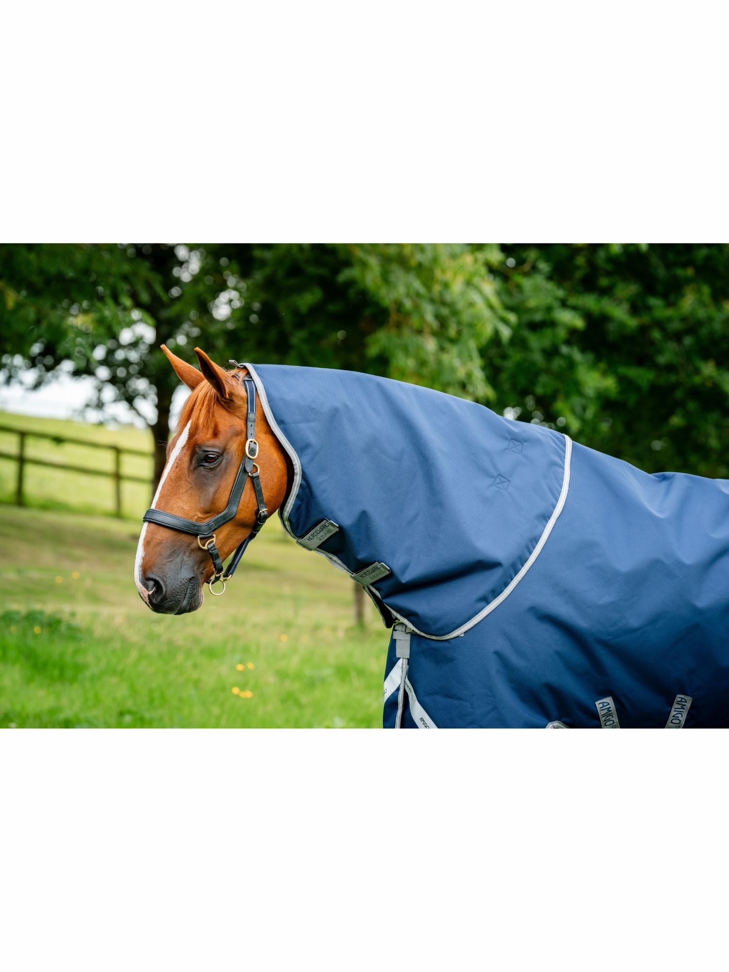 Hals Till Utetäcke Amigo 1200D Hood 0g Navy