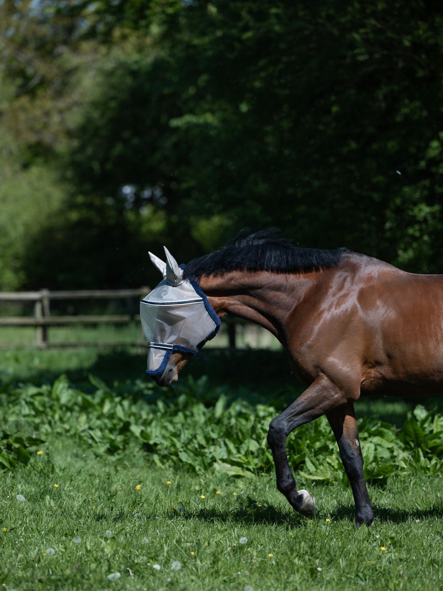 KLLando Fly Mask Rainy Day