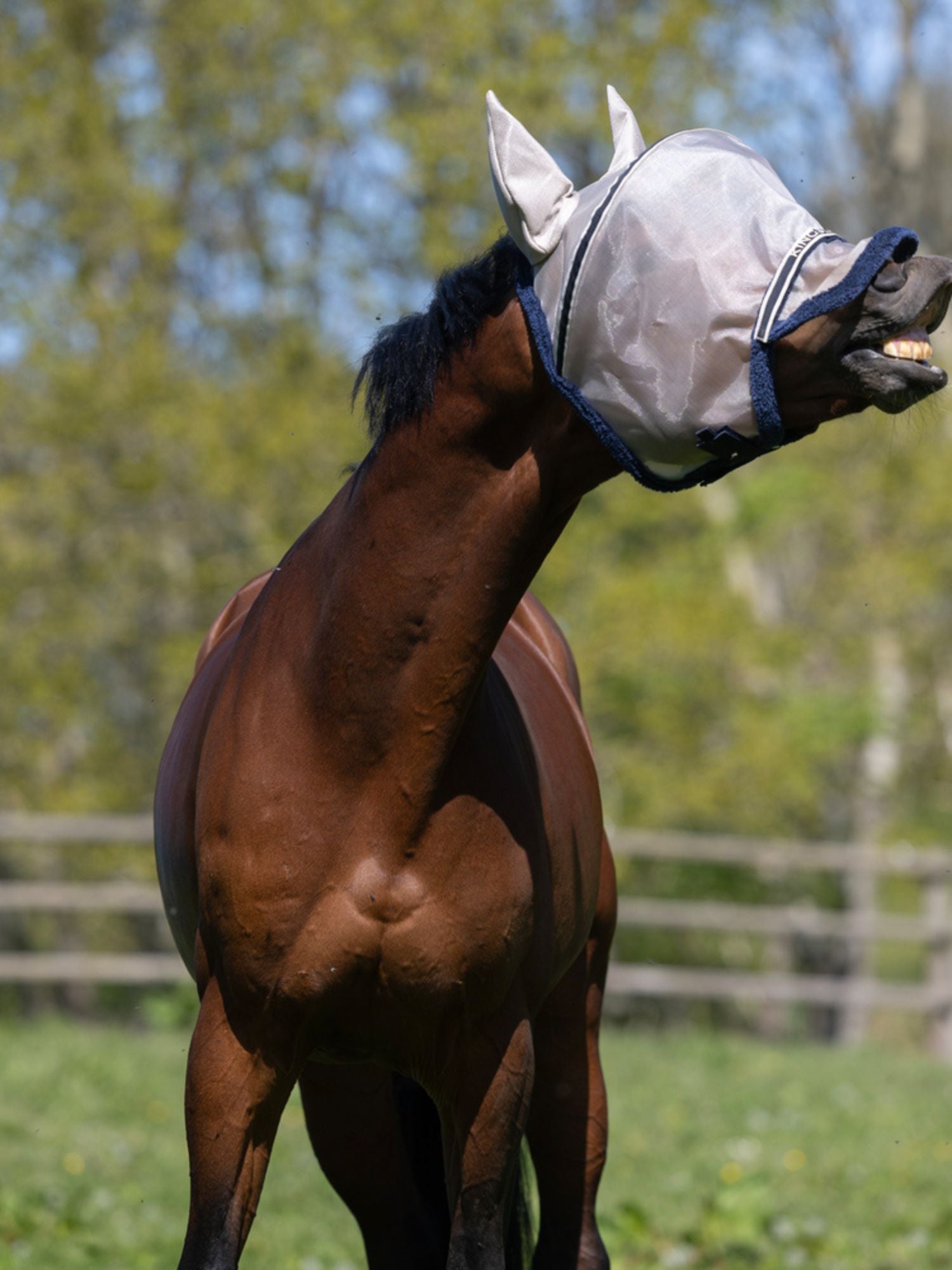 KLLando Fly Mask Rainy Day