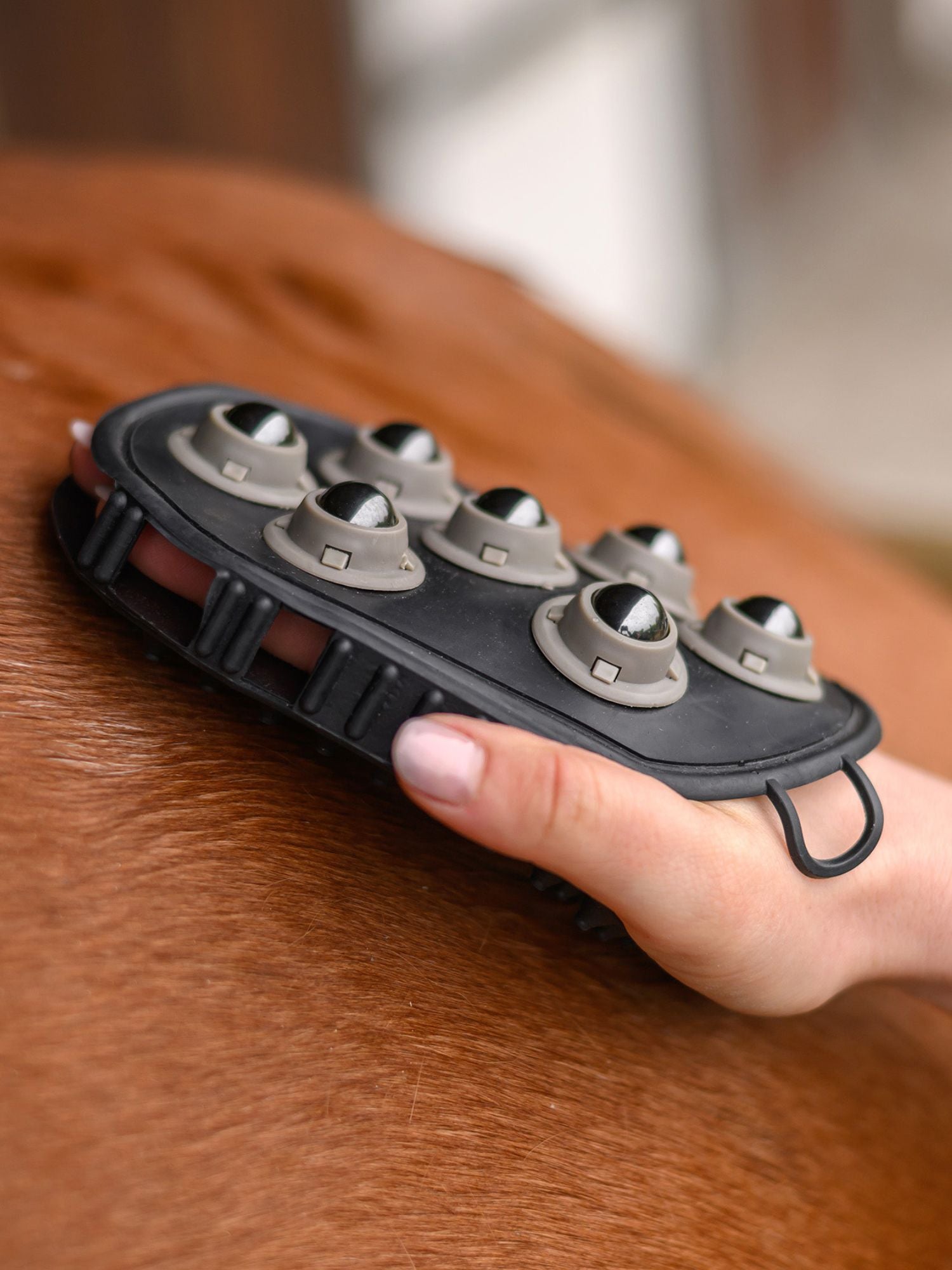 Massage Grooming Handske Svart