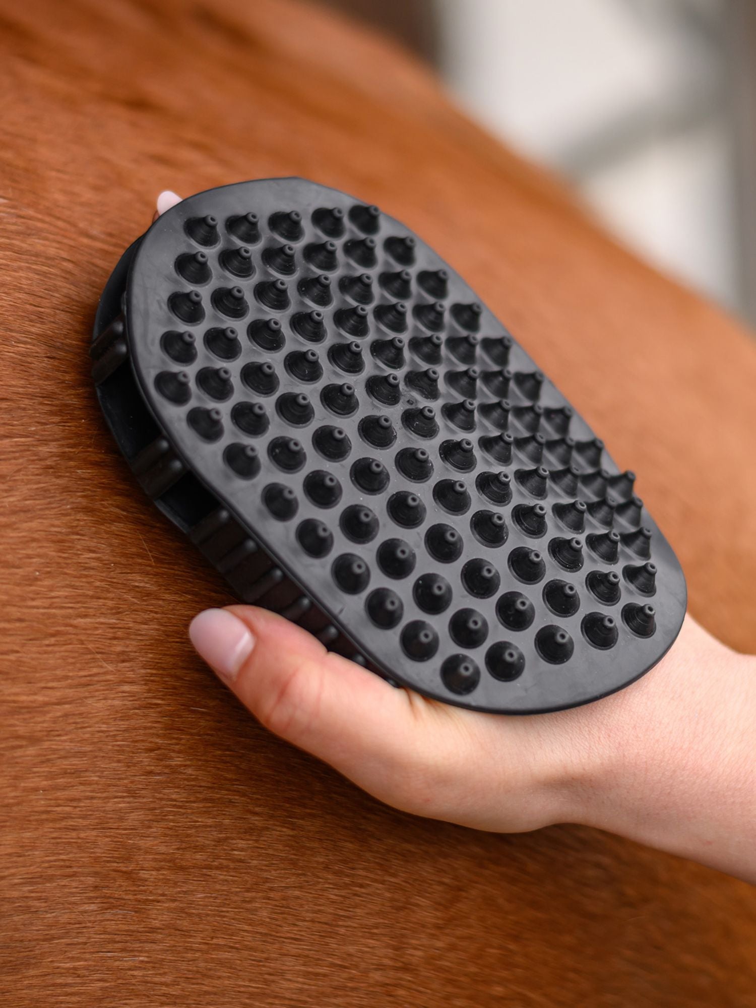 Massage Grooming Handske Svart