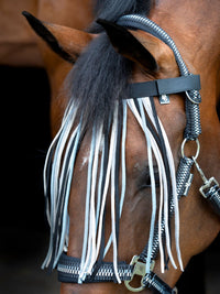 Flugpannband Cole Asphalt