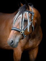 Flugpannband Cole Asphalt