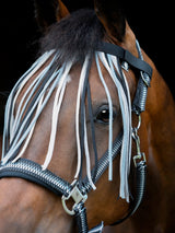 Flugpannband Cole Asphalt