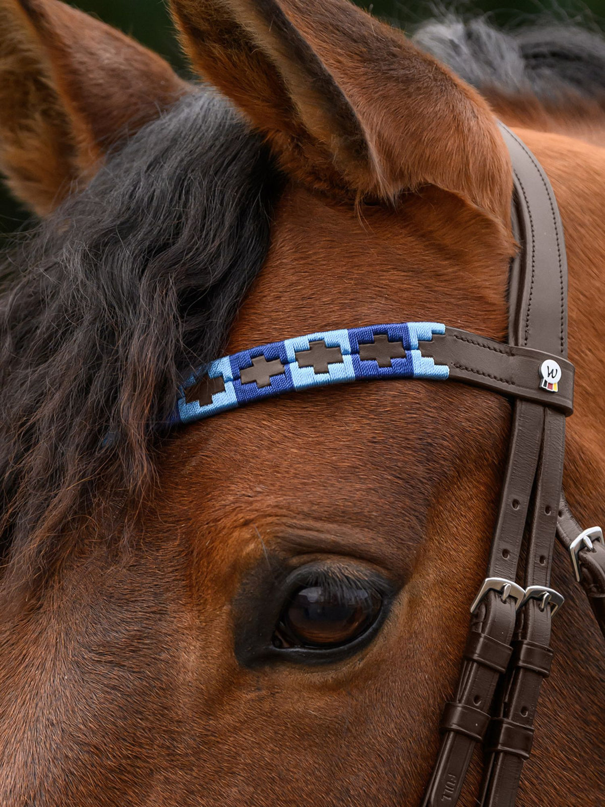 Pannband Polo Brun/Blå/Ljusblå