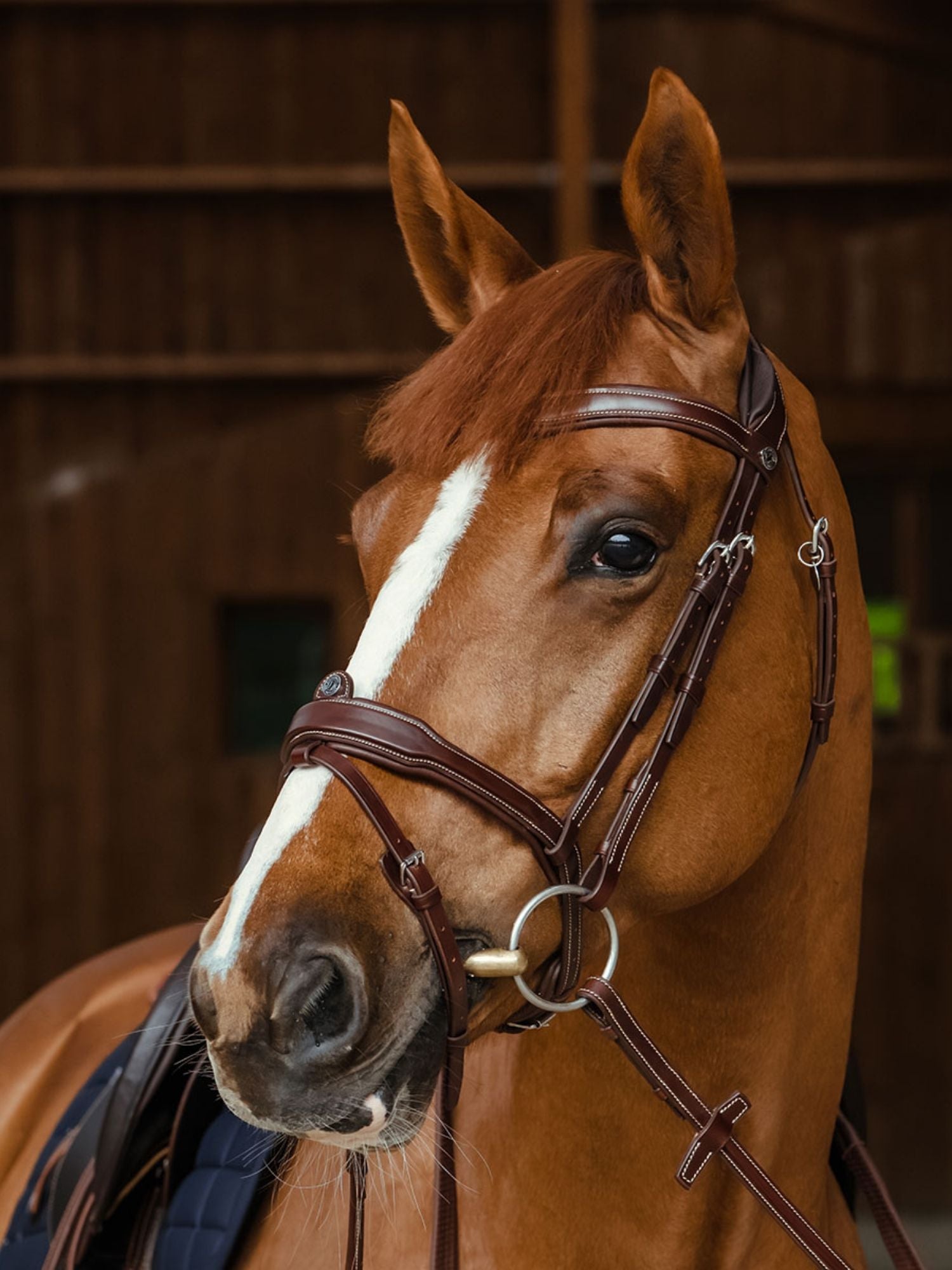 Träns Flash Noseband Signature Sport Brun