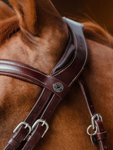 Träns Flash Noseband Signature Sport Brun
