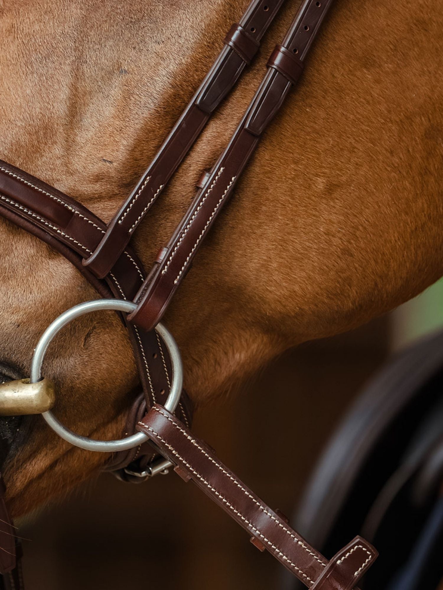 Träns Flash Noseband Signature Sport Brun